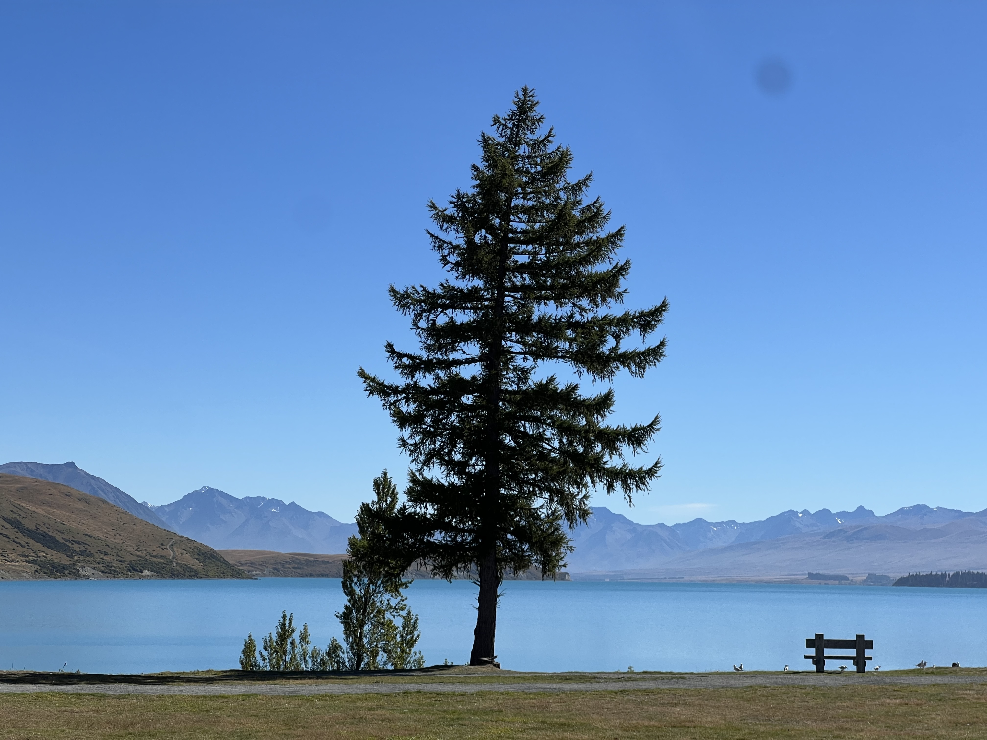 Lake Tekapo Sunrise