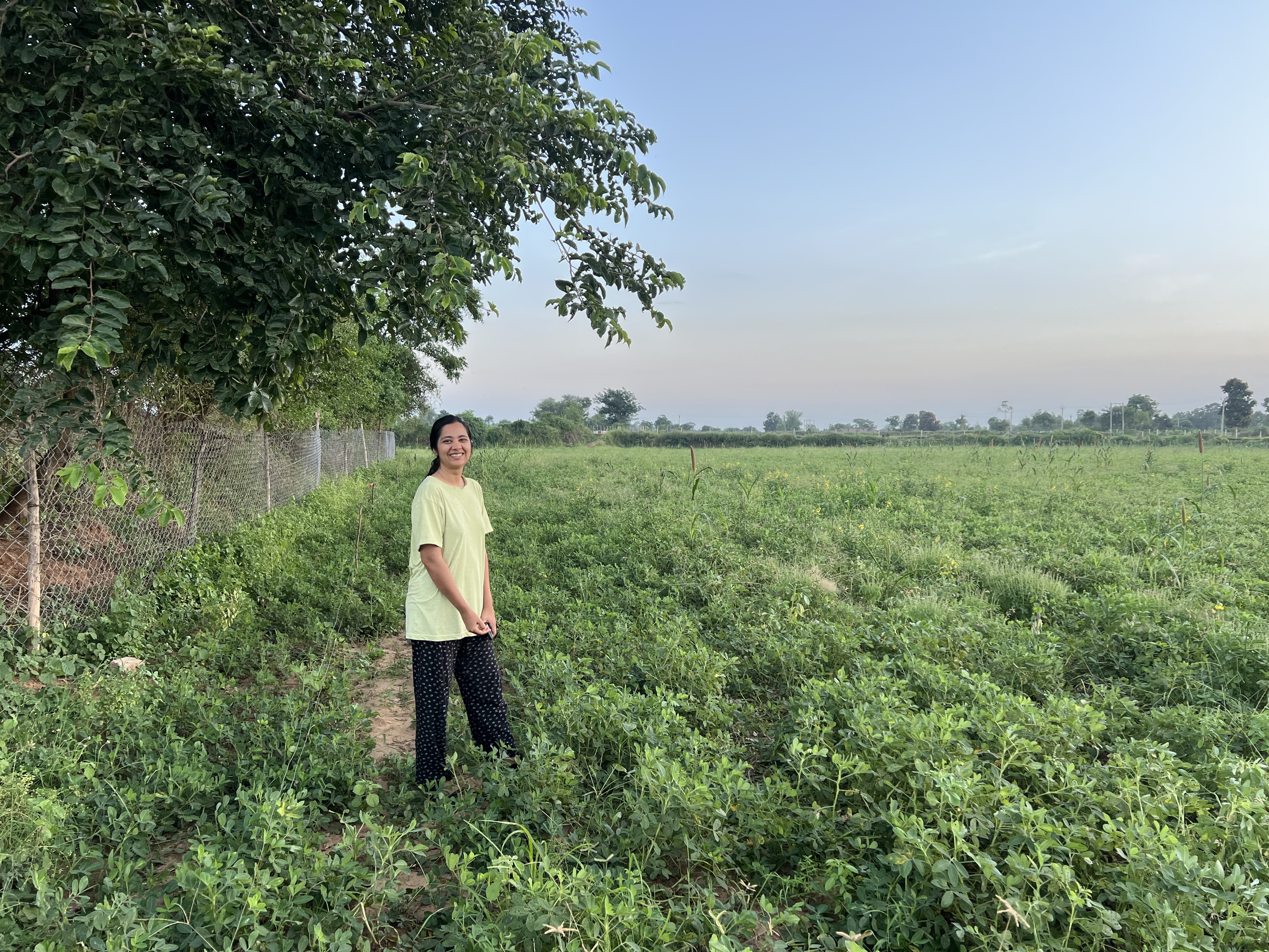 Farm walks that smell like quiet and fresh greens